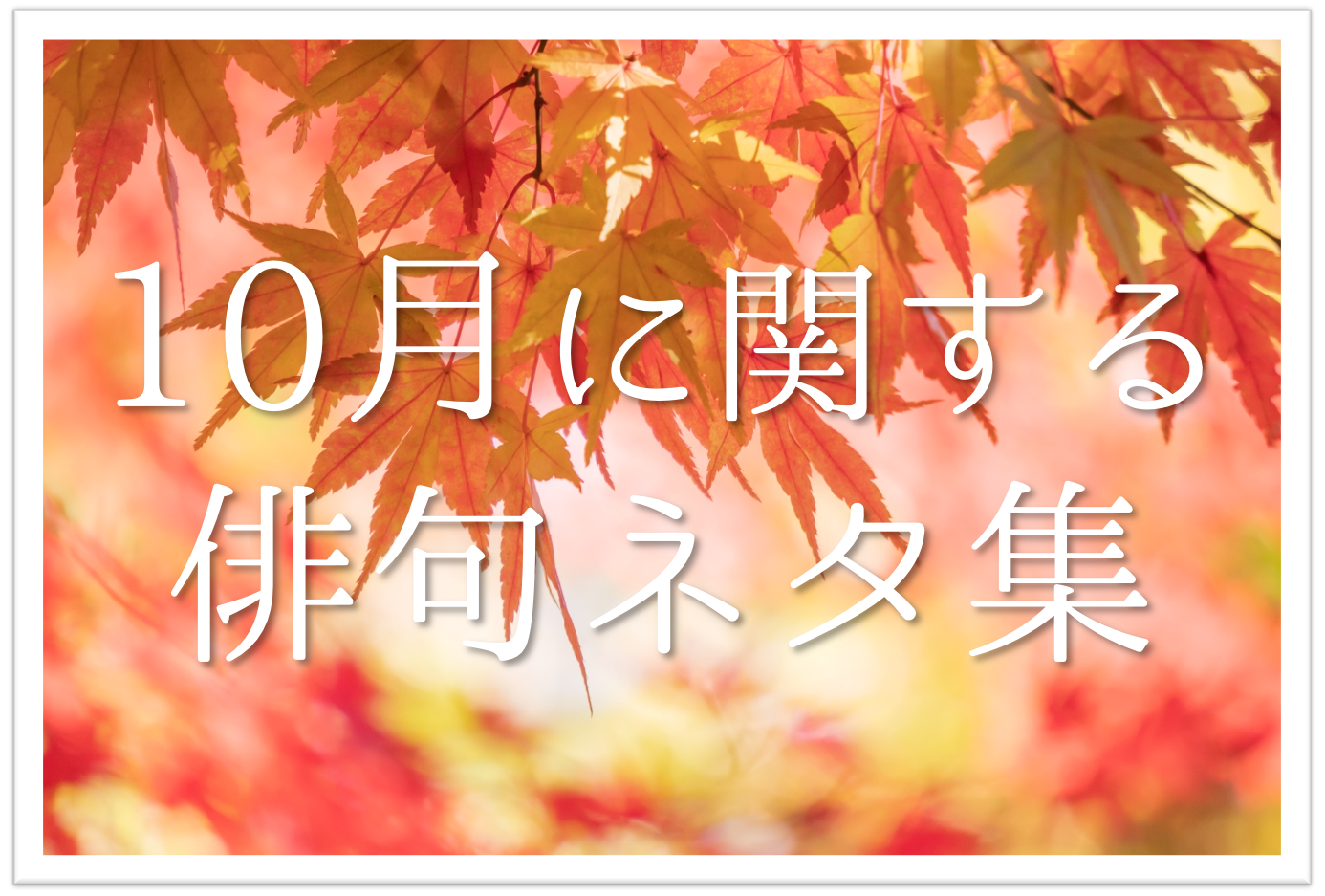 10月の一般俳句ネタ 選 小 中学生向け 秋に関する面白い 上手な俳句例を紹介 俳句の教科書 俳句の作り方 有名俳句の解説サイト