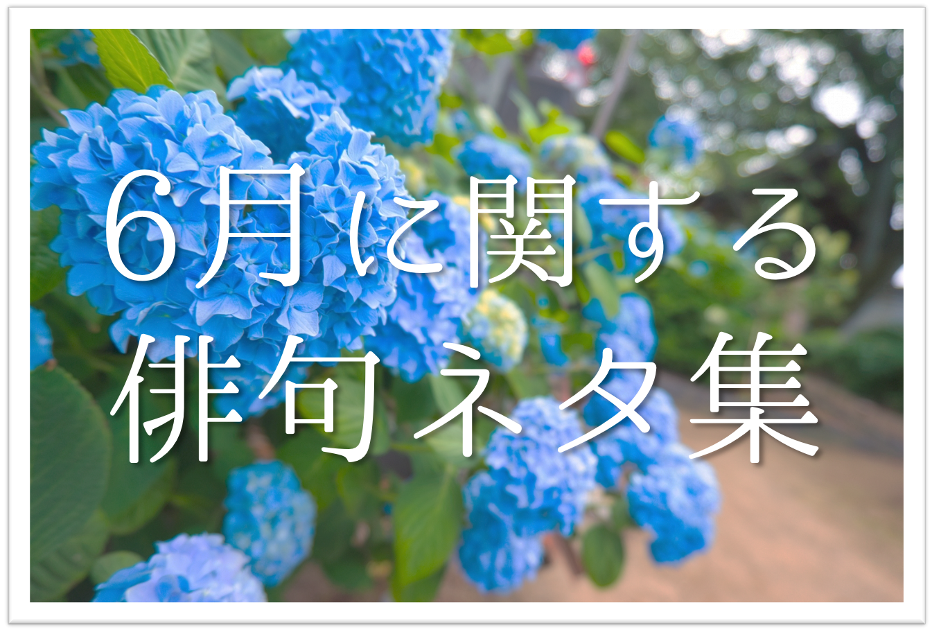 6月の一般俳句ネタ集 おすすめ 選 梅雨の候 初夏の候など六月の俳句を紹介 俳句の教科書 俳句の作り方 有名俳句の解説サイト