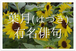 【葉月の有名俳句 20選】意味や由来とは⁉︎日本の夏の雰囲気が伝わってくる名句を紹介
