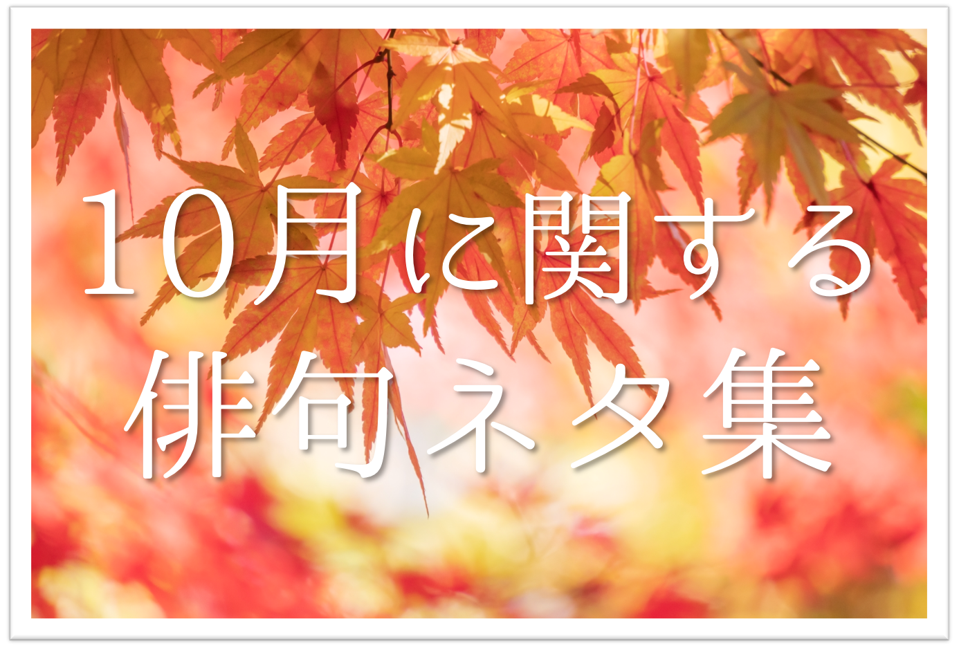 【10月の一般俳句ネタ 20選】小•中学生向け!!秋に関する面白い＆上手な俳句例を紹介