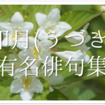 【4月おすすめ俳句作品 30選】春の季語!!小学生/中学生の俳句作りの参考になる句を紹介