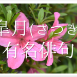 【5月の俳句 おすすめ30選】中学生向け!!5月の季語を含んだ有名＆一般俳句作品集を紹介！