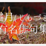 【11月の一般俳句 36選】小学生＆中学生向け!!季語を含む面白い/美しい俳句を紹介
