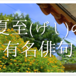 【大暑･立夏･夏至･小満･小暑･芒種を使った俳句】有名句＆おすすめ俳句作品を紹介！