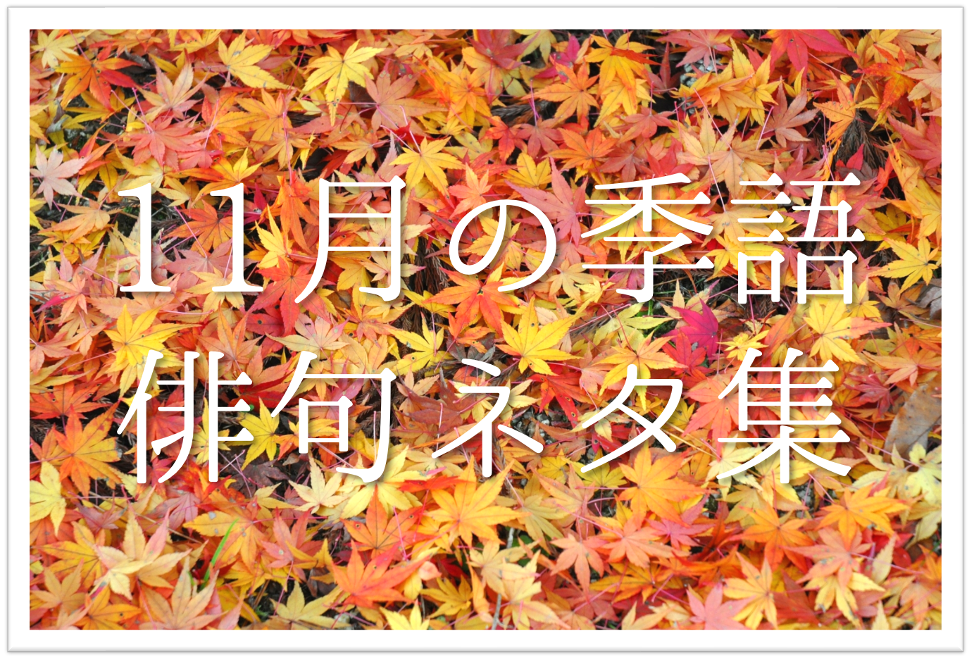 11月の一般俳句 26選 小学生 中学生向け 季語を含む面白い 美しい俳句を紹介 俳句の教科書 俳句の作り方 有名俳句の解説サイト