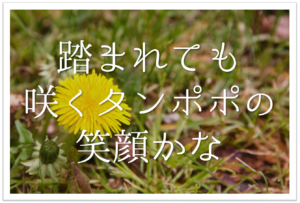 立夏の有名俳句 選 立夏 季語 の意味とは 夏の訪れを感じる俳人名句を紹介 俳句の教科書 俳句の作り方 有名俳句の解説サイト