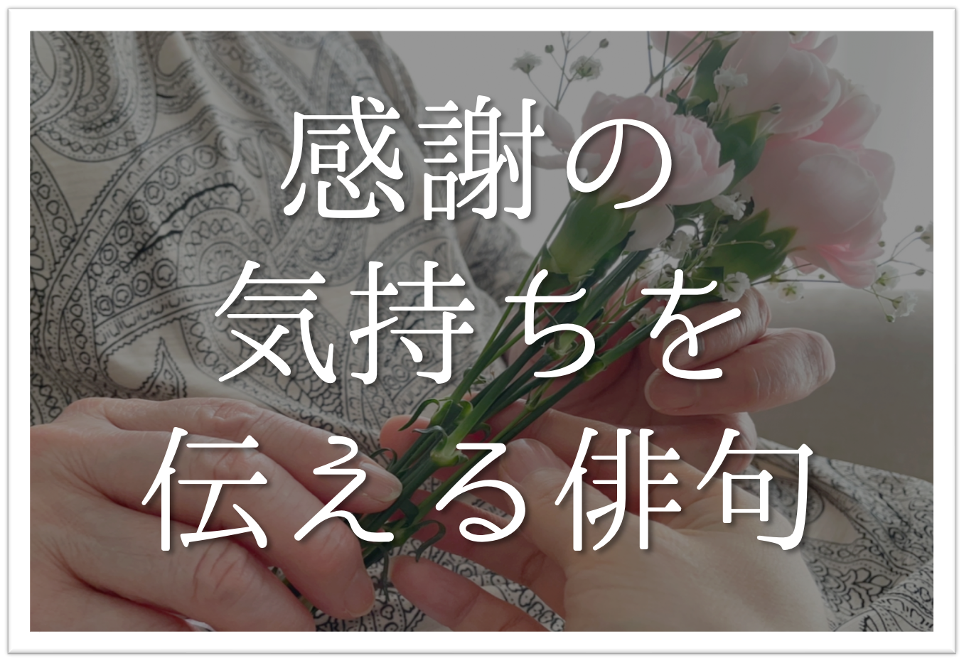 感謝の気持ちを伝える俳句 選 母や家族 先生へ おすすめ有名句 俳句ネタ例を紹介 俳句の教科書 俳句の作り方 有名俳句の解説サイト