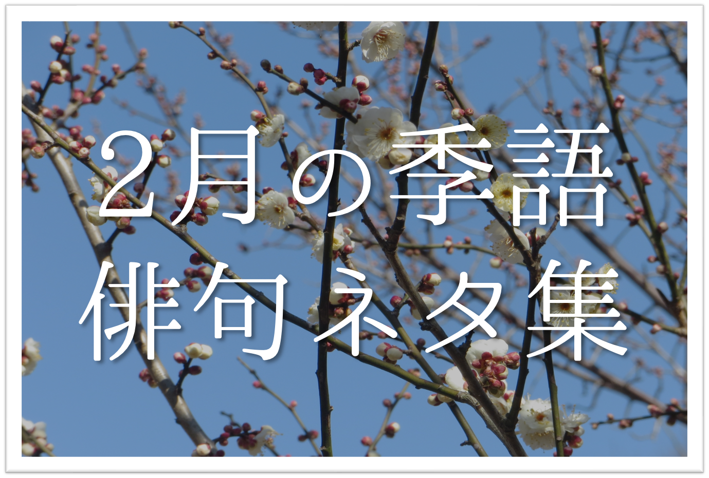 2月おすすめ俳句ネタ 選 小 中学生向け 一般の方が詠んだ二月 季節 の俳句例を紹介 俳句の教科書 俳句の作り方 有名俳句の解説サイト