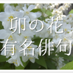 【月の俳句 40選】秋の季語!!夜空に輝く美しい月の有名句＆一般俳句ネタを紹介