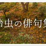 【秋の俳句 45選】中学生向け!!秋の季語を使った俳句例(一覧)を紹介!