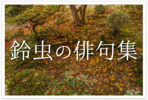 【鈴虫の俳句 20選】日本の秋の風物詩‼︎おすすめ有名俳句＆小•中学生向け俳句ネタを紹介