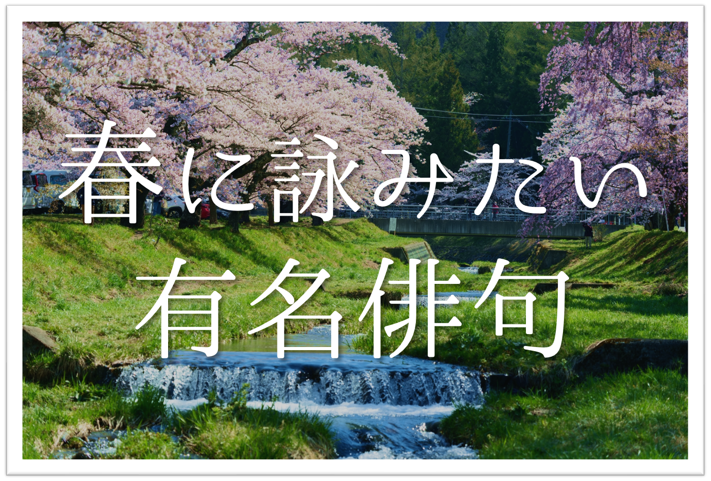 春の有名俳句 30選 春を感じる句 一覧 季語を含むおすすめ俳人名句を紹介 俳句の教科書 俳句の作り方 有名俳句の解説サイト