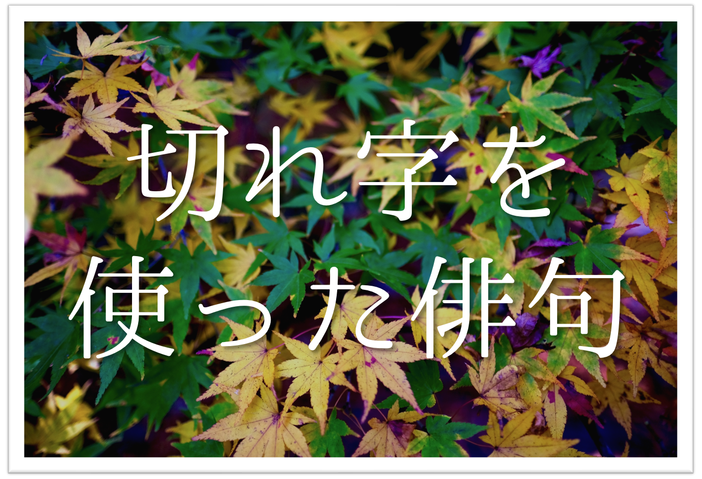 切れ字を使った俳句 選 必見 有名俳句 中学生向け俳句ネタ例を紹介 俳句の教科書 俳句の作り方 有名俳句の解説サイト