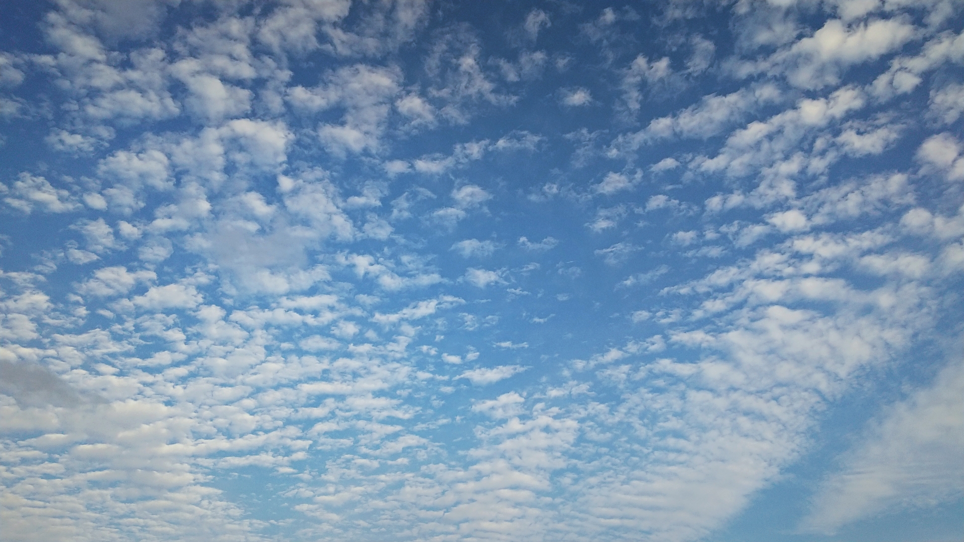 鰯雲の俳句 選 秋の季語 意味や有名 小学生向け俳句ネタを紹介 鱗雲 さば雲 俳句の教科書 俳句の作り方 有名俳句の解説サイト