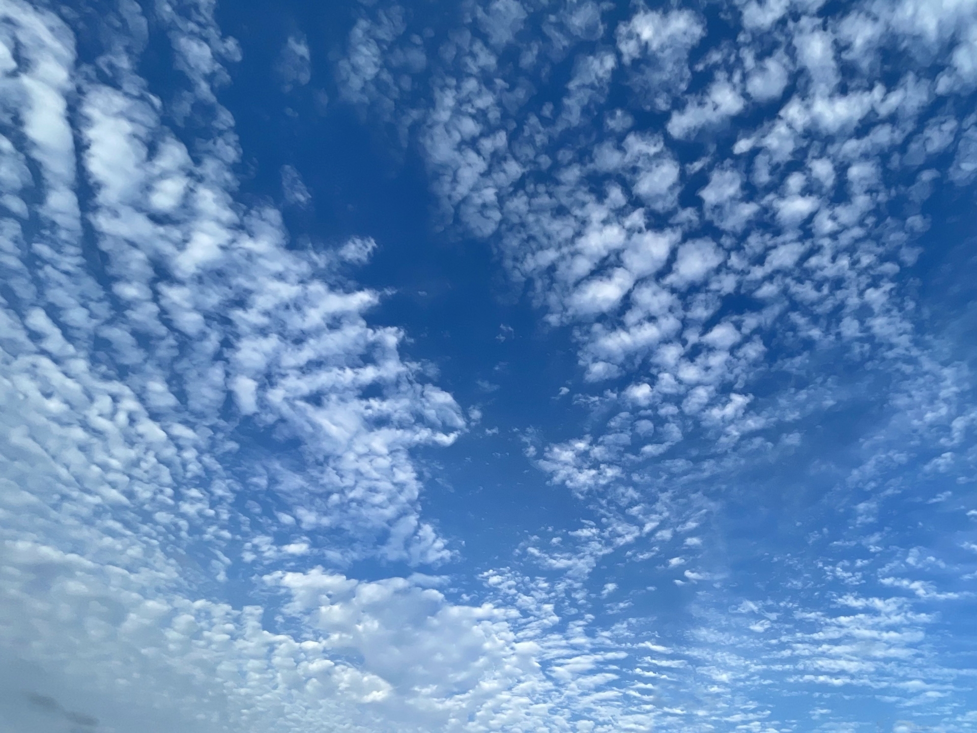 鰯雲の俳句 選 秋の季語 意味や有名 小学生向け俳句ネタを紹介 鱗雲 さば雲 俳句の教科書 俳句の作り方 有名俳句の解説サイト