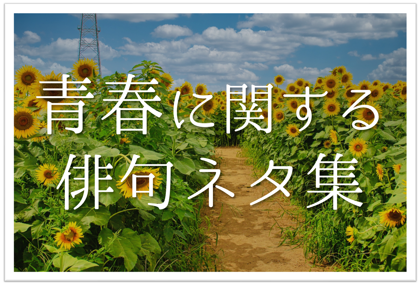 中学生 俳句 夏