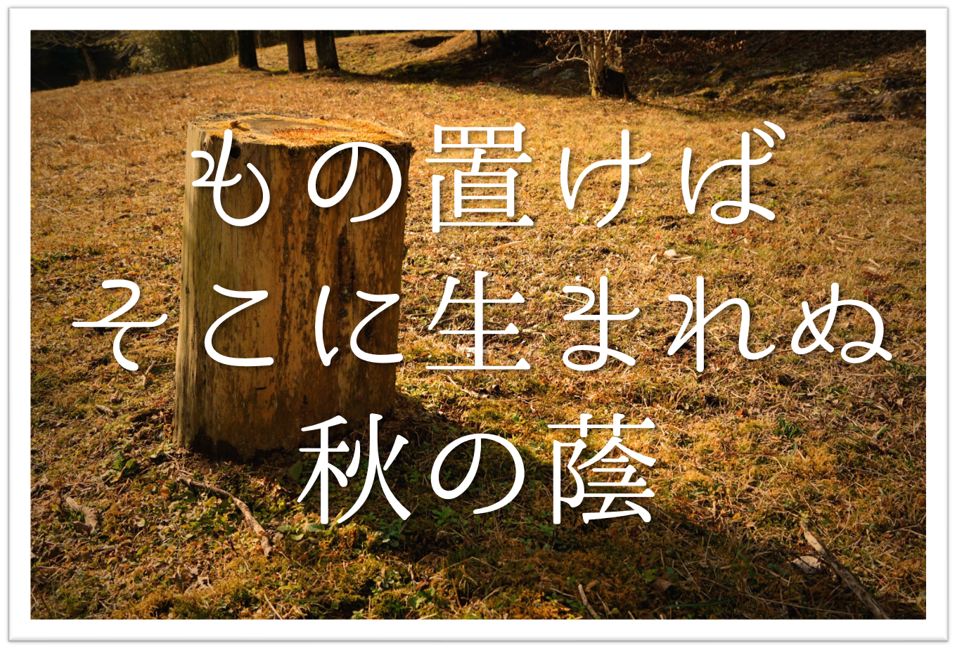 鑑賞 文 俳句