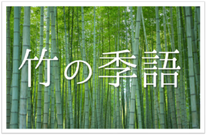 奥の細道 平泉で芭蕉はなぜ泣いた 簡単にわかりやすく解説 俳句の教科書 俳句の作り方 有名俳句の解説サイト