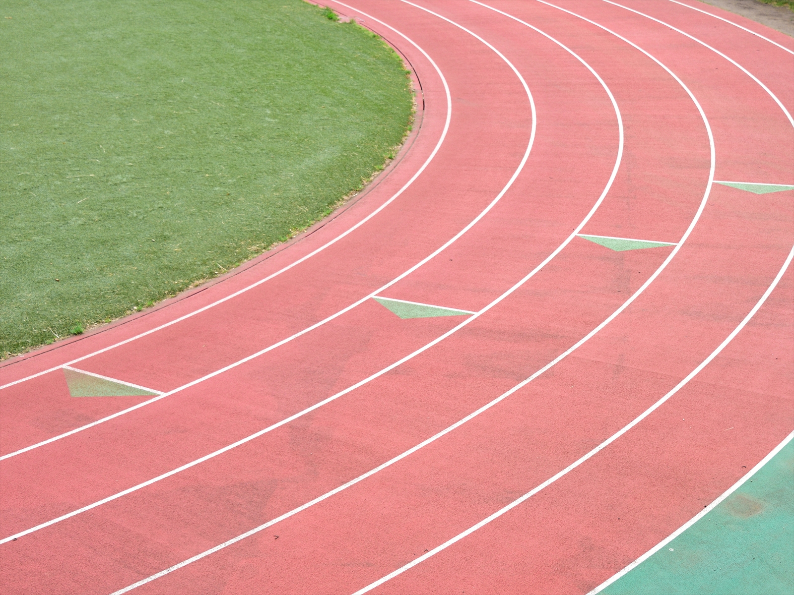 陸上 部活 をテーマにした俳句 選 中 高校生向け 参考になる俳句ネタ例を紹介 俳句の教科書 俳句の作り方 有名俳句の解説サイト