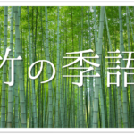 【俳句の季語「朝顔」はなぜ秋の季語になる？】簡単にわかりやすく解説します！
