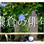 【奈良の有名俳句 40選】春・夏・秋・冬の季語!!有名俳人が詠んだおすすめ句を紹介