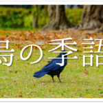 【燕(つばめ)の俳句 30選】春の季語!!雛や巣立ちなどを詠んだ有名&一般俳句を紹介