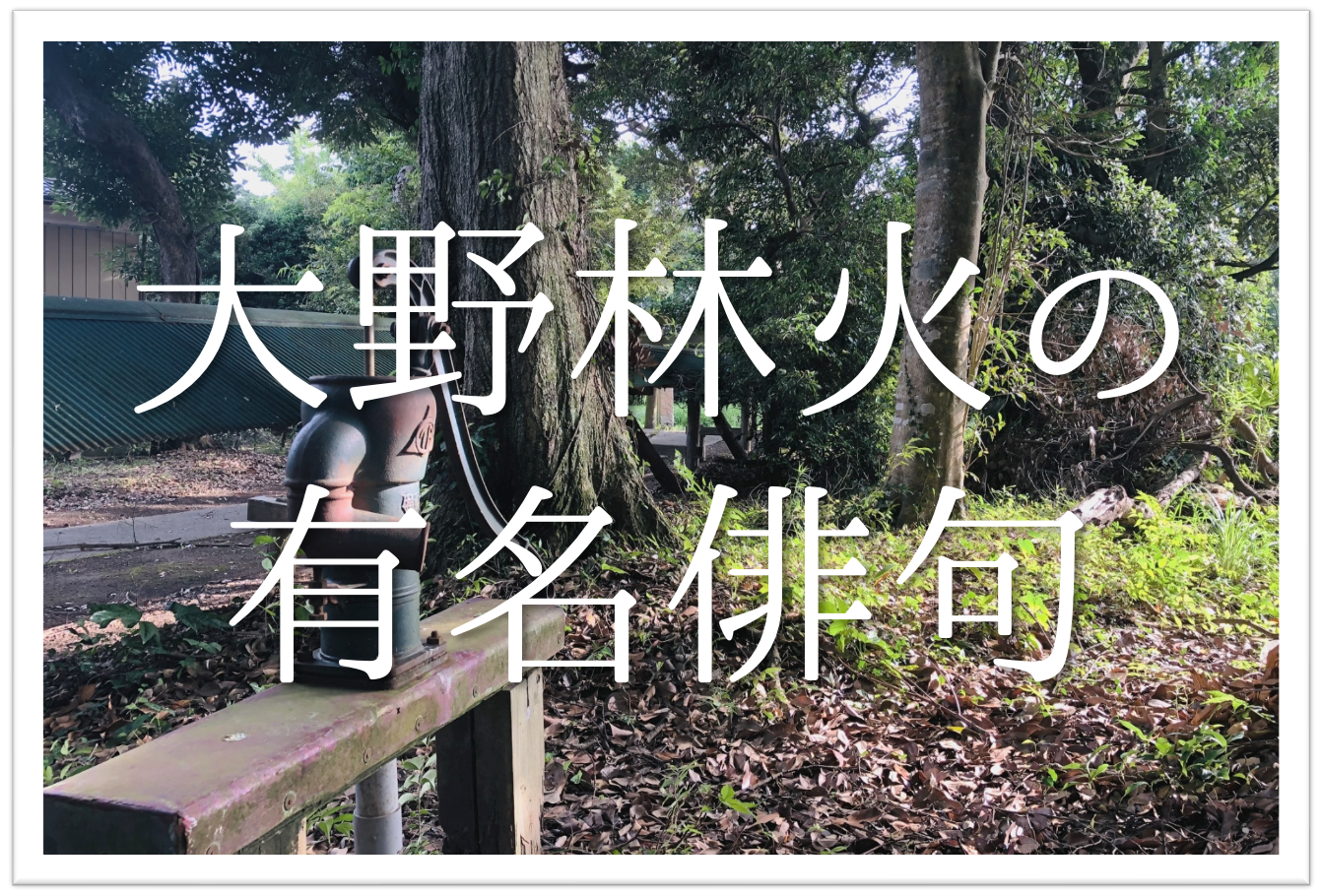 大野林火の有名俳句 20選】昭和期の俳人!!俳句の特徴や人物像・代表作 