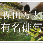 【湯豆腐やいのちのはてのうすあかり】俳句の季語や意味･表現技法･鑑賞･作者など徹底解説!!