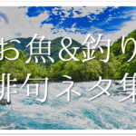 【猫をテーマに詠んだ俳句 30選】猫好き必見!!可愛らしい&面白い俳句を紹介