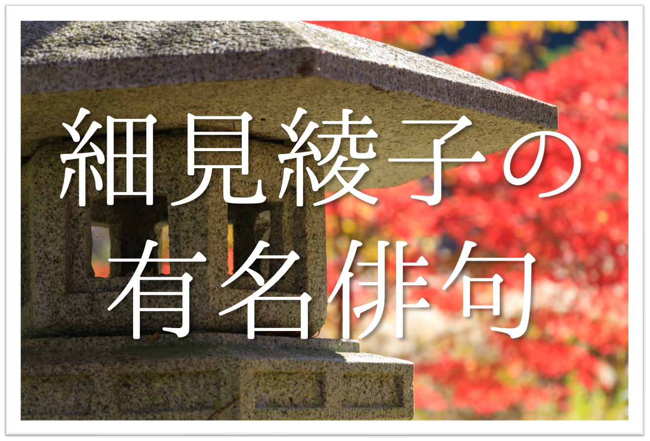 細見綾子の有名俳句 20選】日本を代表する女流俳人!!俳句の特徴や人物 
