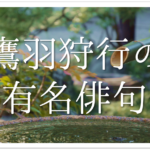 【日と月のごとく二輪の寒牡丹】俳句の季語や意味･表現技法･鑑賞文･作者など徹底解説!!
