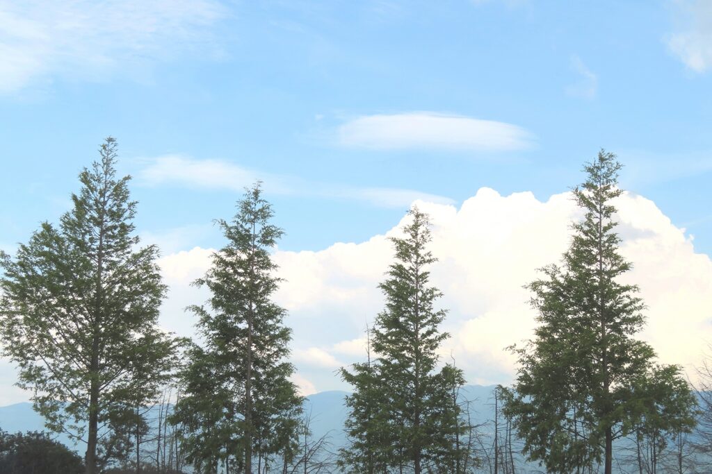 【風薫る俳句集 20選】初夏の季語!!季語の意味やおすすめ有名俳句＆一般俳句を紹介！ | 俳句の教科書｜俳句の作り方・有名俳句の解説サイト
