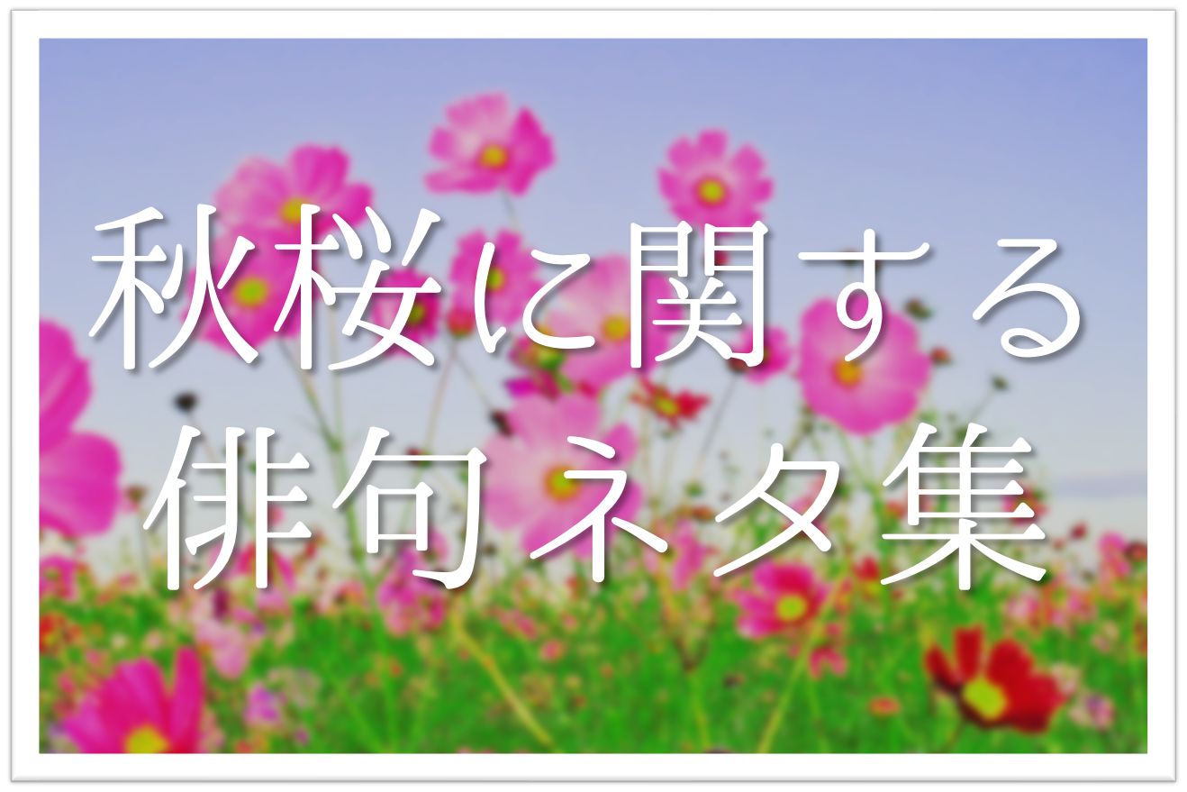 コスモス(秋桜)の俳句ネタ 20選】中学生向け!!季語を含むおすすめ一般 