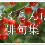 【林檎(りんご)の俳句 40選】秋に旬を迎える果物!!リンゴが食べたくなる有名句/一般作品を紹介