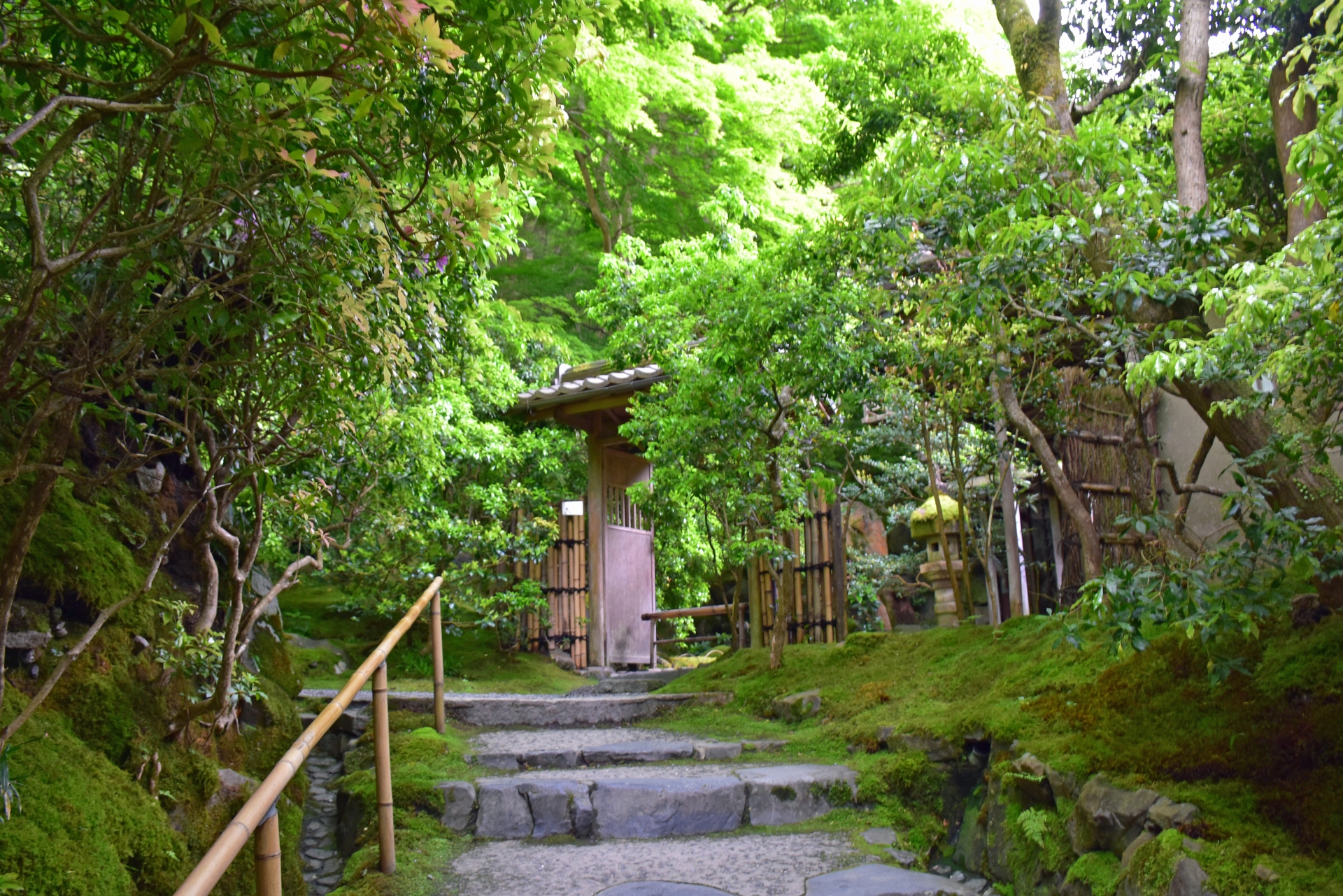 放哉 そのすべて／村尾草樹／層雲社／1964年／序は荻原井泉水
