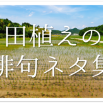 【新緑の俳句 30選】初夏を感じる!!有名俳人の句や一般の方の句をたくさん紹介！