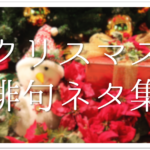 【クリスマスの俳句 40選】聖夜･聖樹など!!有名俳句＆一般(中学＆高校生)おもしろ俳句を紹介！