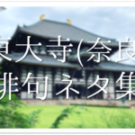 【奈良の有名俳句 40選】春・夏・秋・冬の季語!!有名俳人が詠んだおすすめ句を紹介