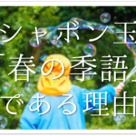 【竹の季語はいつ?】簡単にわかりやすく解説!!青竹•竹藪•若竹など春夏秋冬別に紹介