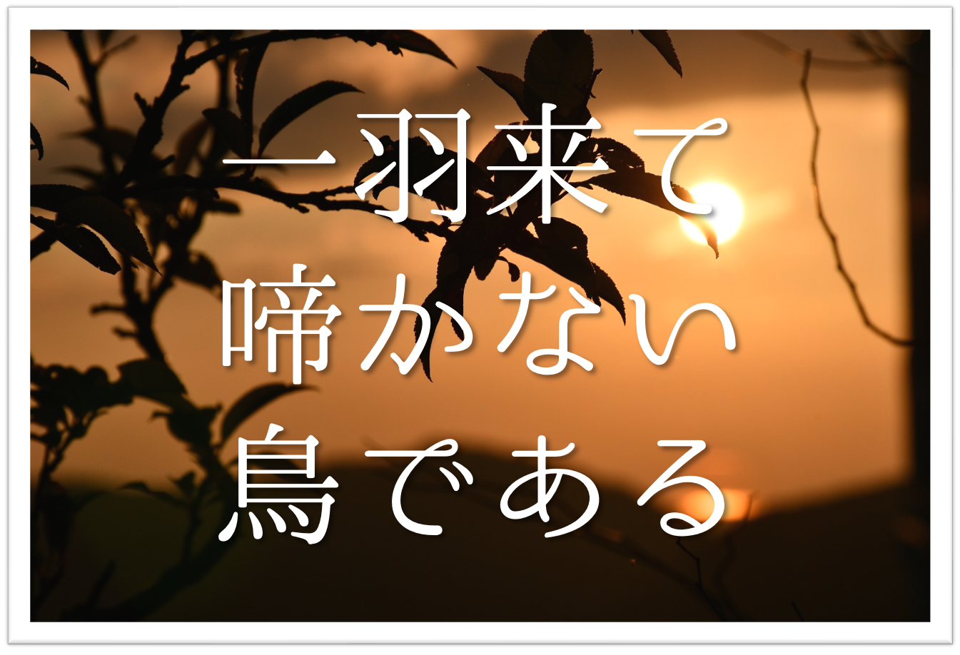 【一羽来て啼かない鳥である】俳句の季語や意味･表現技法･鑑賞･作者など徹底解説!! | 俳句の教科書｜俳句の作り方・有名俳句の解説サイト